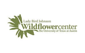 Ascend client Ladybird Wildflower Center