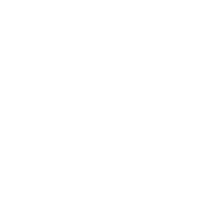 Kitewheel white logo
