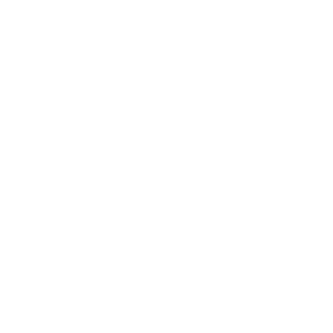 WP Engine white logo