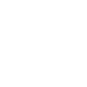 Adobe Solution Partner Program Logo White